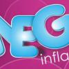 Mega Inflatables - Billericay Business Directory