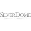 Silverdome Financial Consultancy