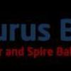 Aerosaurus Balloons - Bristol Business Directory