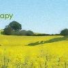 Anglia Hypnotherapy - Occold Business Directory