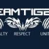 Tiger Martial Arts - Ilford Business Directory